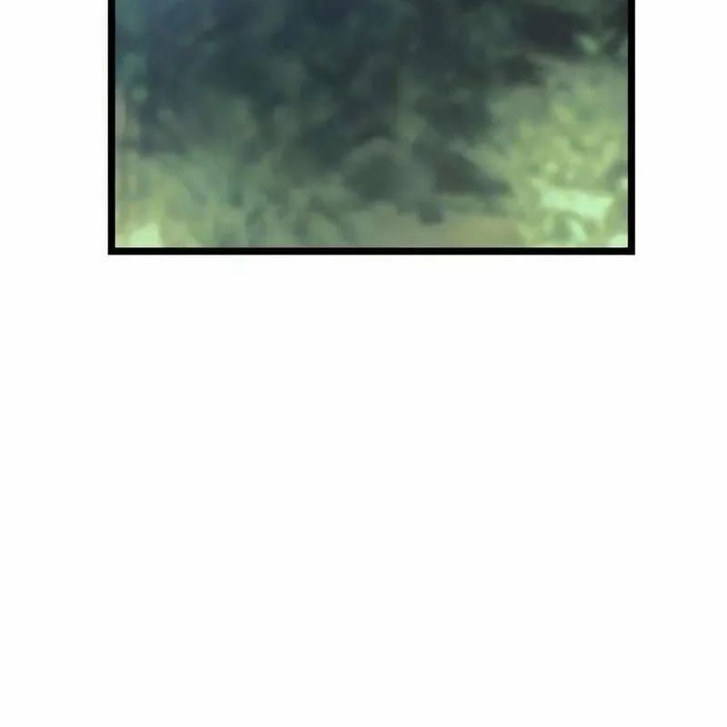Chương 9 - Trang 270