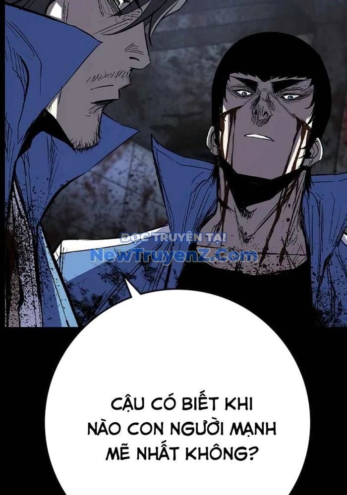 Chương 228 - Trang 22