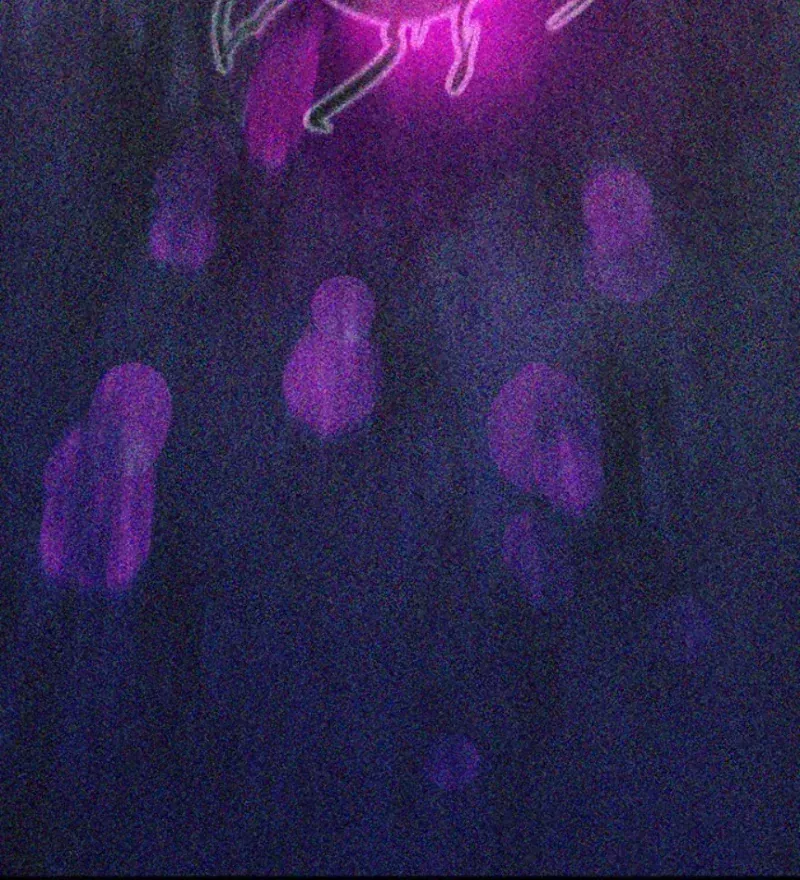 Chương 1 - Trang 17