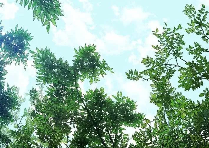Chương 13 - Trang 131