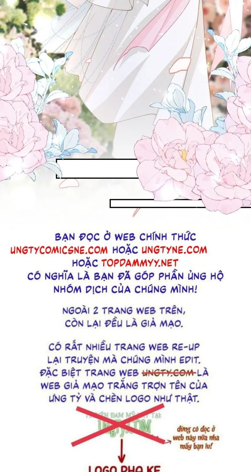 Chương 256 - Trang 42