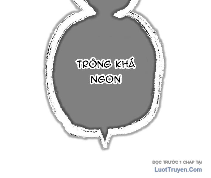 Chương 15 - Trang 238