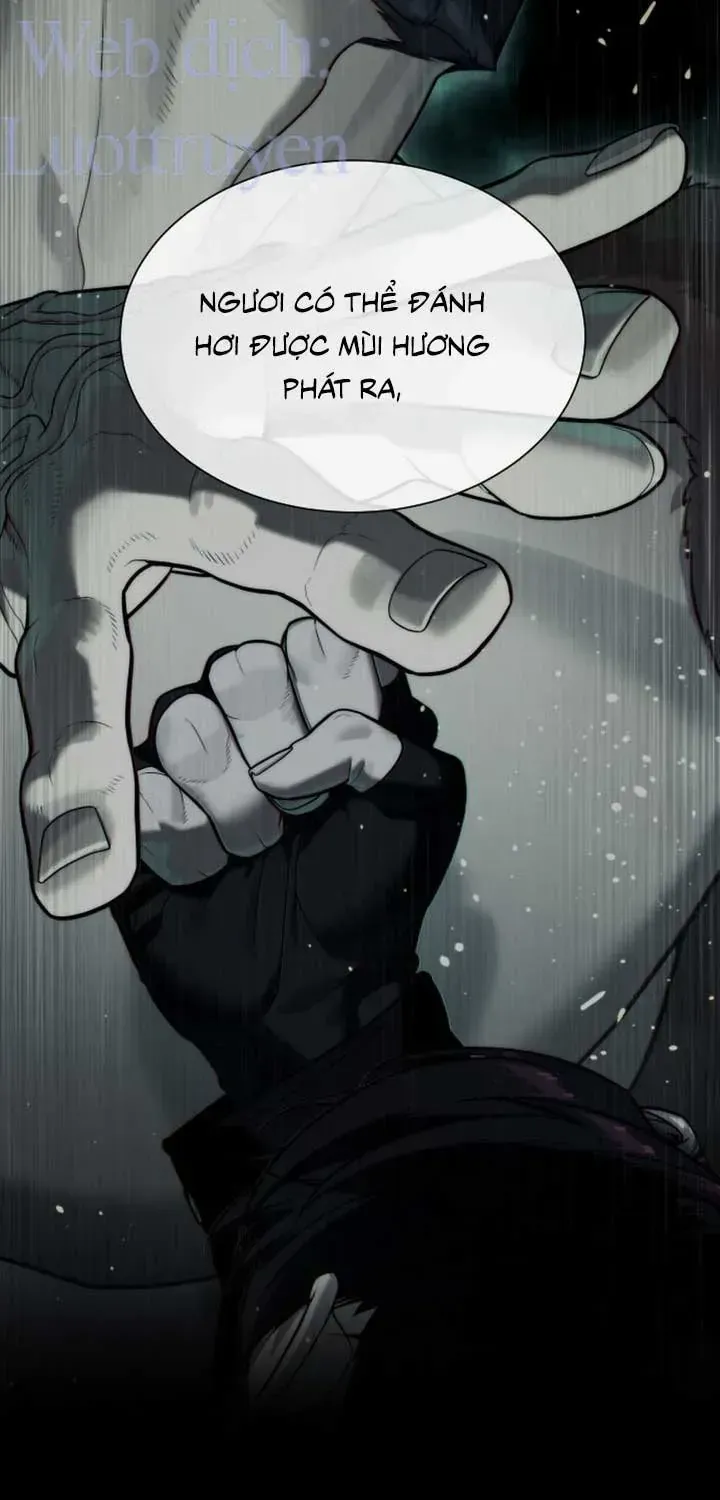Chapter 132 - Trang 56