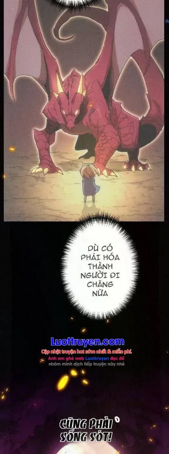 Chapter 1 - Trang 19