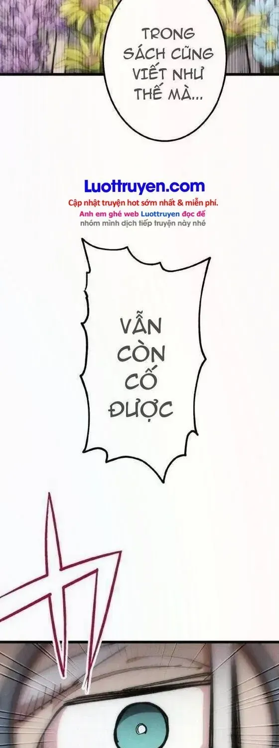 Chapter 1 - Trang 49