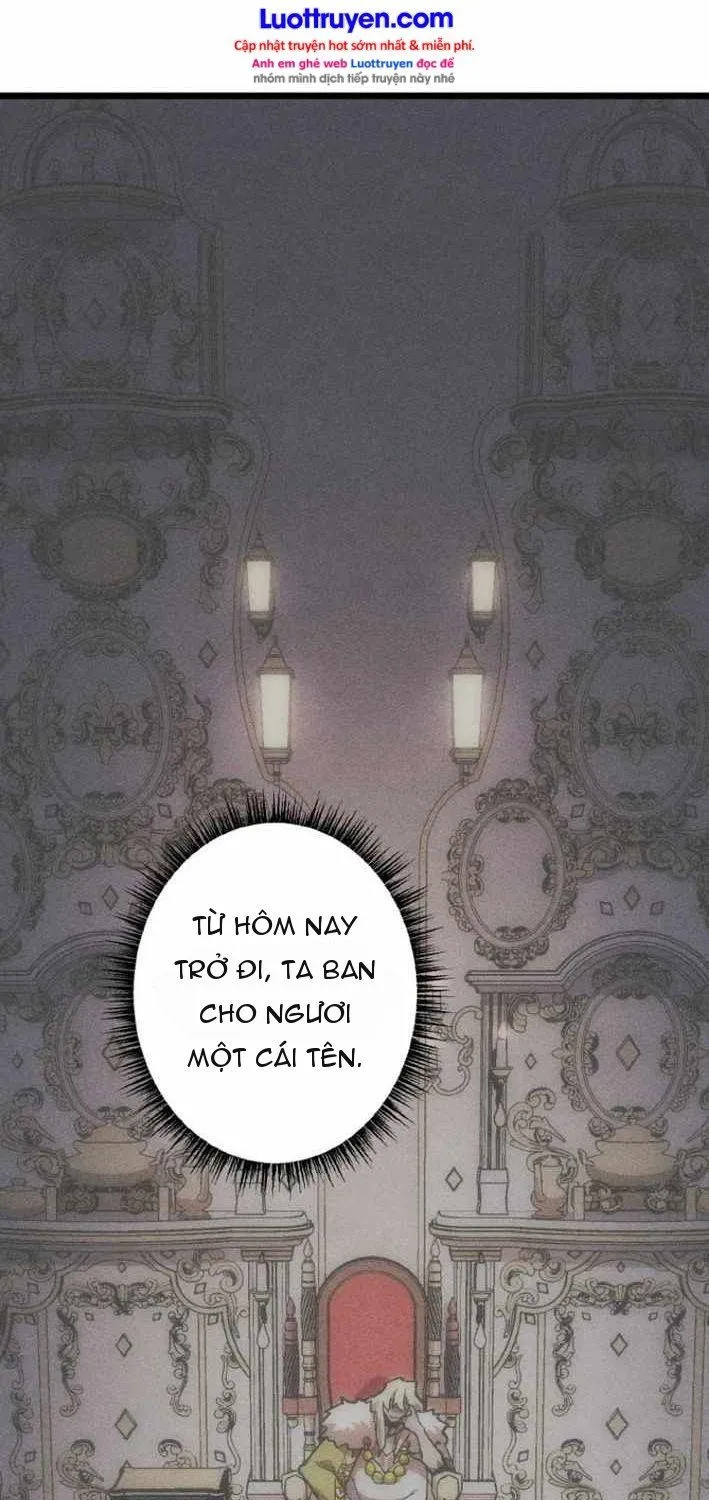 Chapter 11 - Trang 44