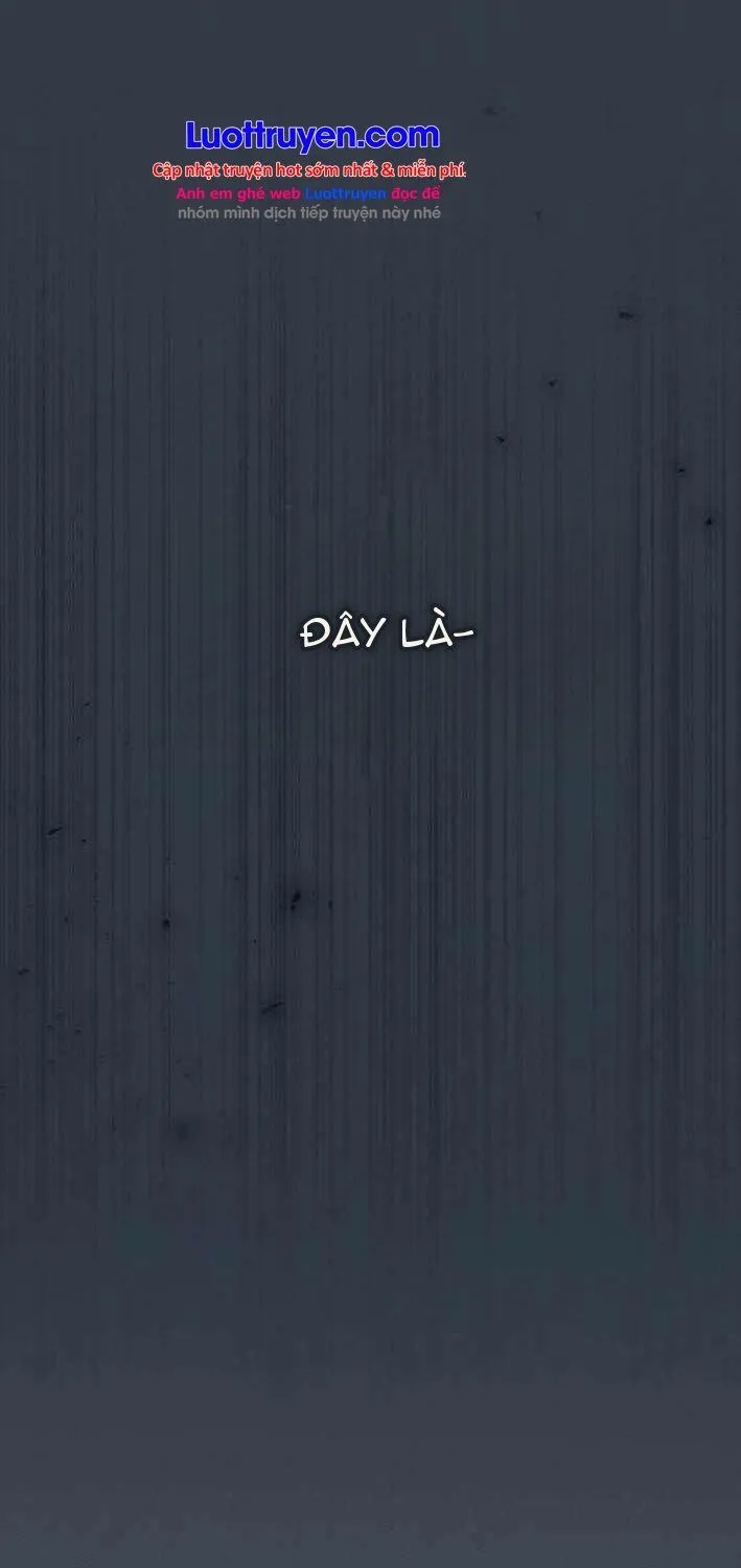 Chapter 13 - Trang 13