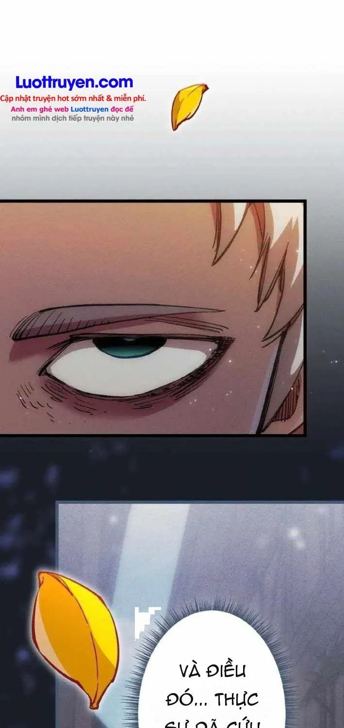 Chapter 16 - Trang 19