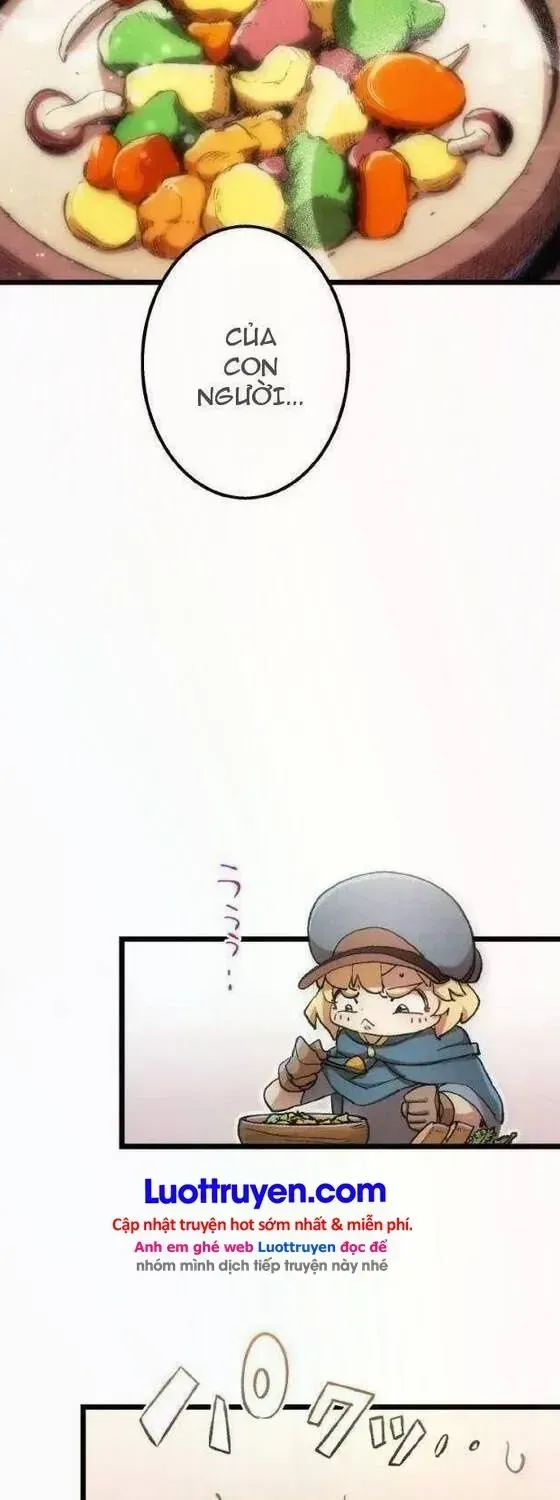 Chapter 5 - Trang 17
