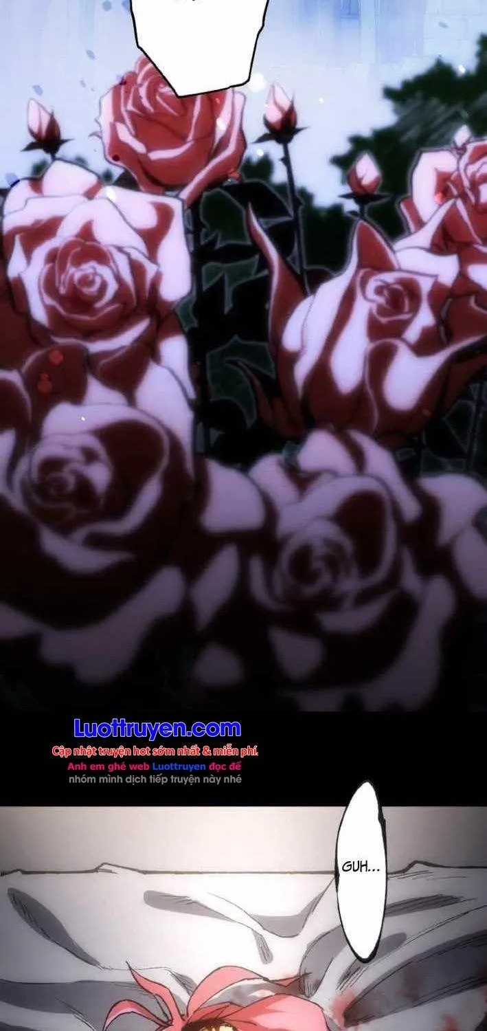 Chapter 9 - Trang 55