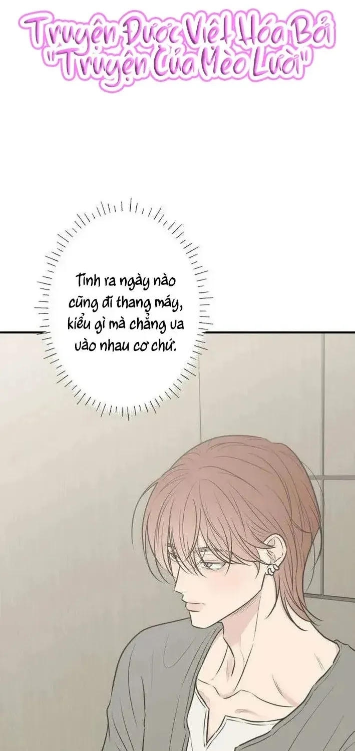 Scandal Giữ Lấy Hôn Nhân - Chap 13 - Trang 2