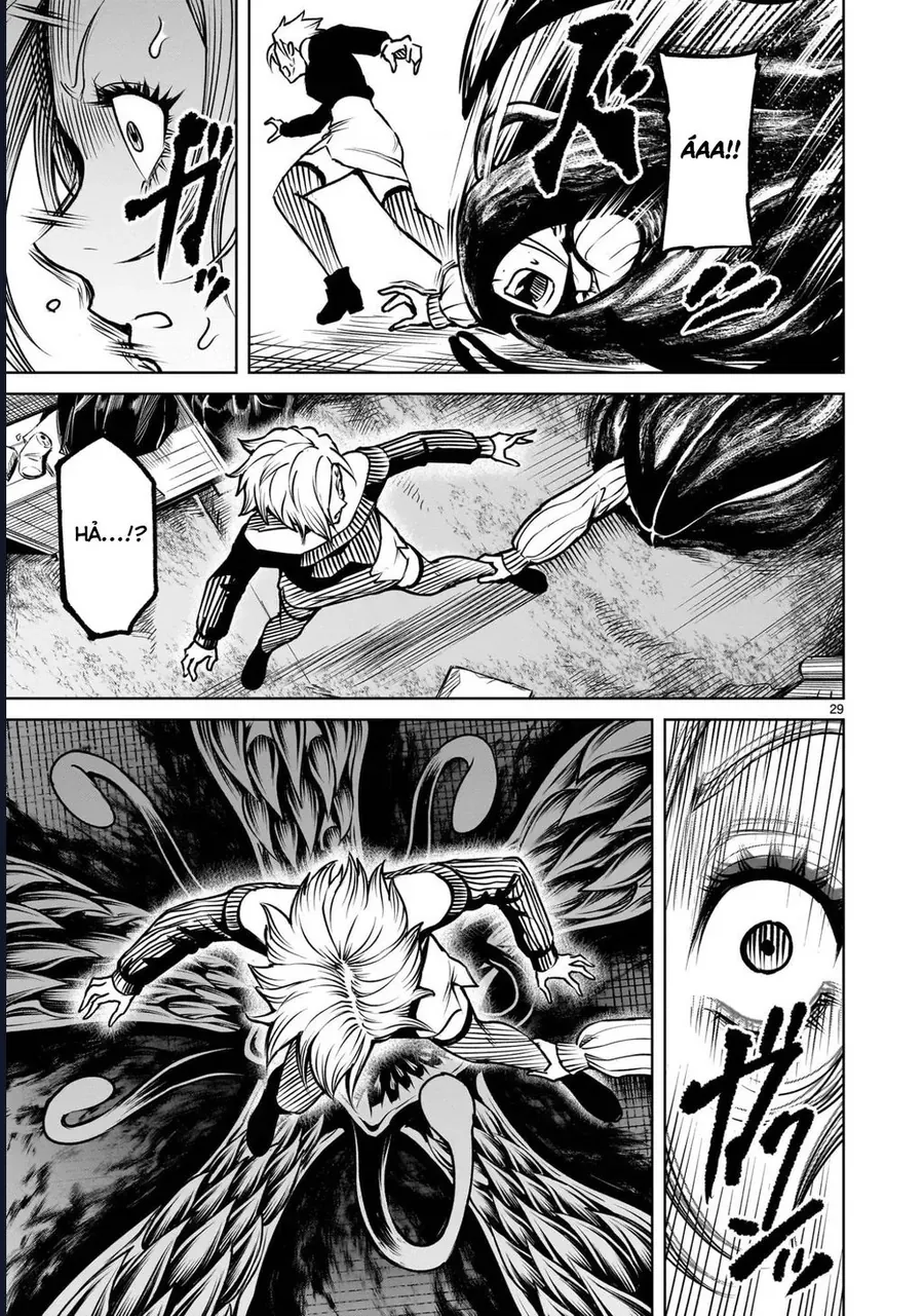 Chapter 2.2 - Trang 29