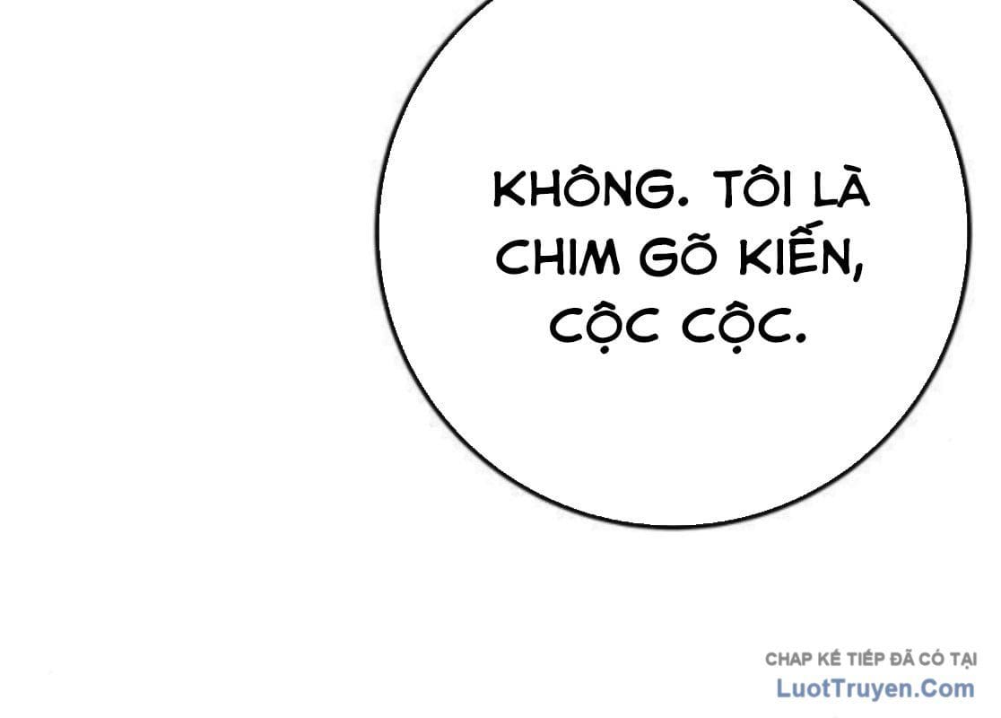 Chương 21 - Trang 261
