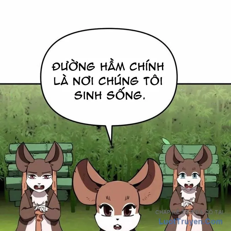 Chương 17 - Trang 62