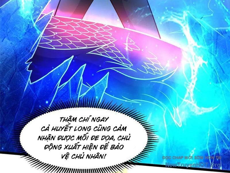 Chapter 264 - Trang 15