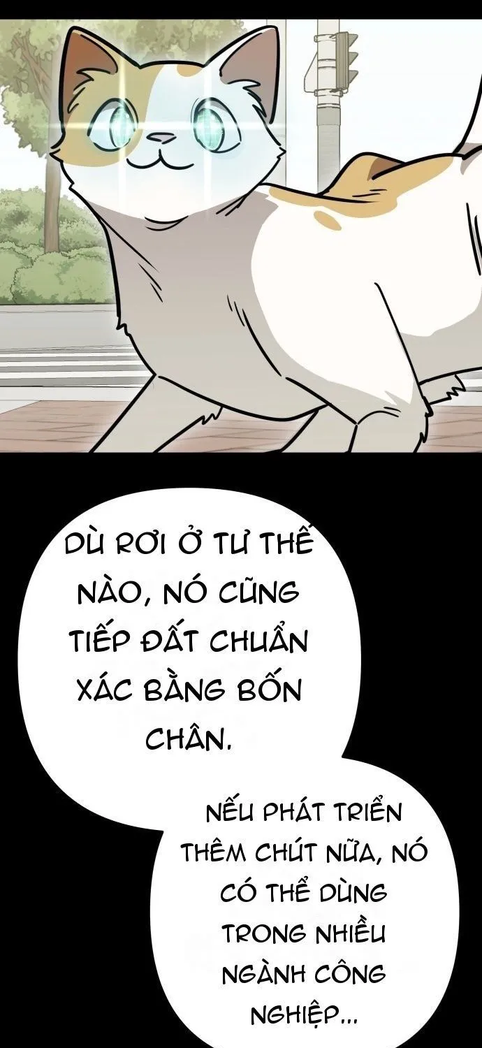 Trang 43