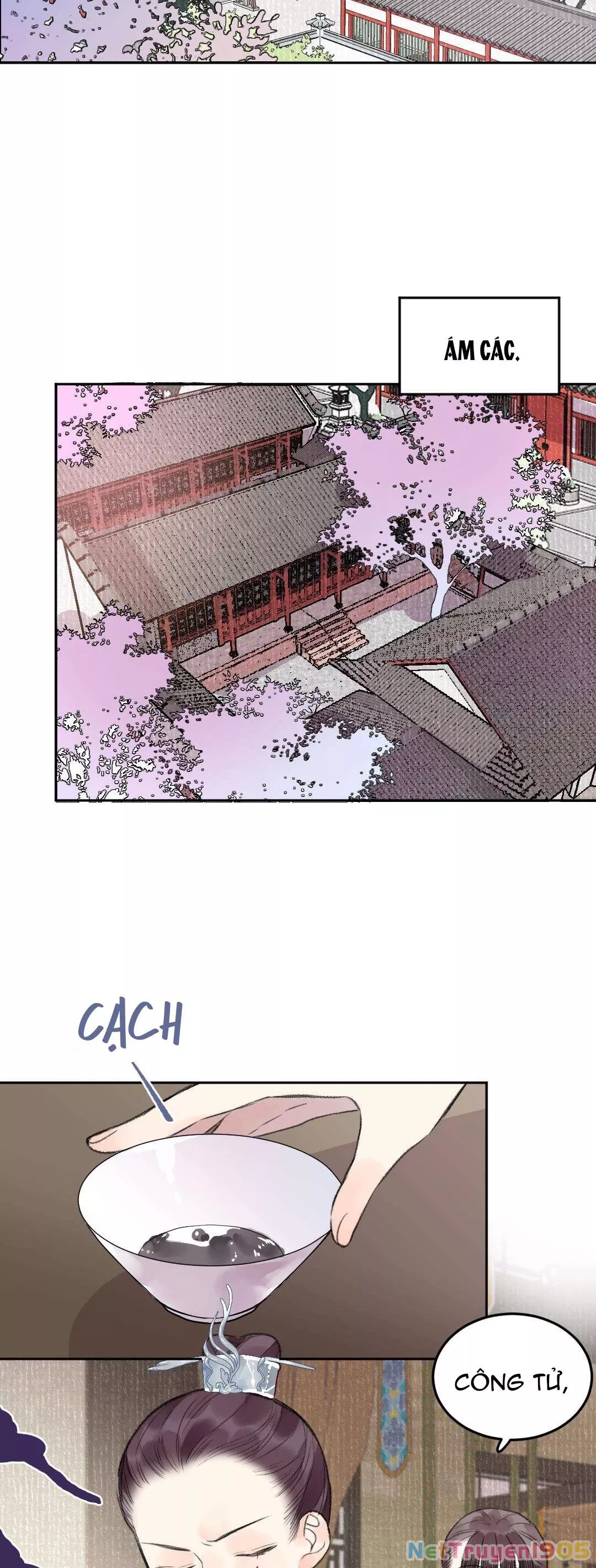 Trang 17