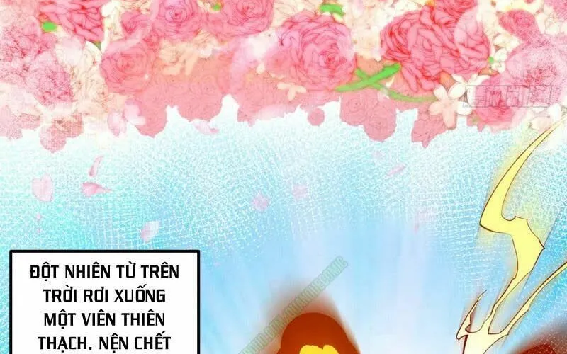 Chương 13 - Trang 36