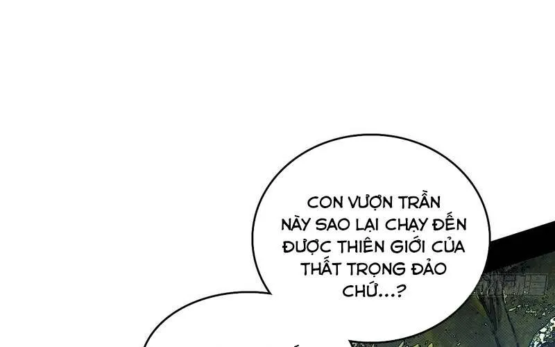 Chương 504 - Trang 25