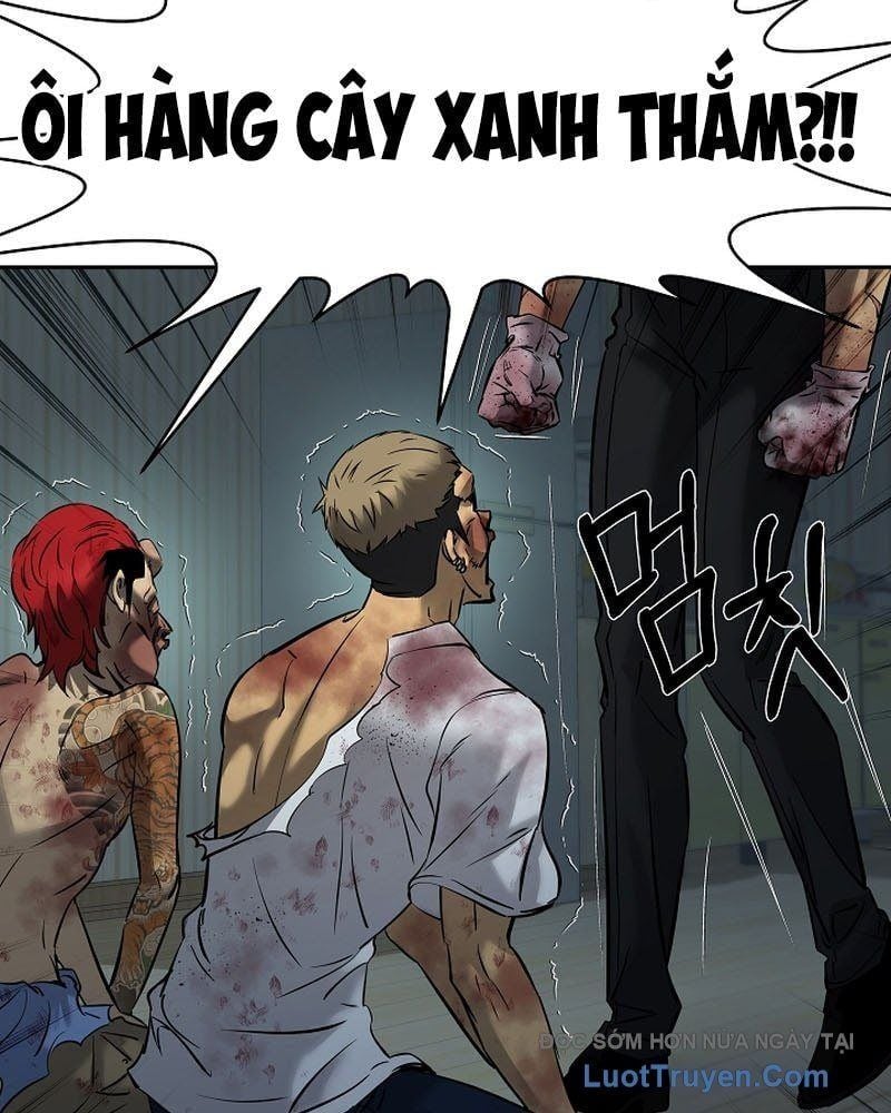 Trang 179