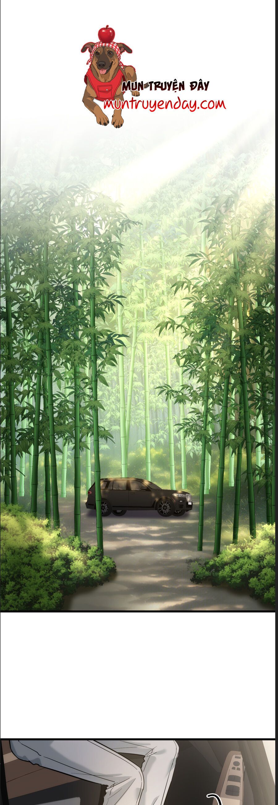 Trang 21