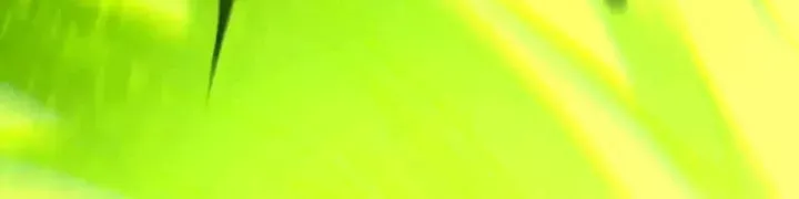 Chương 247 - Trang 50