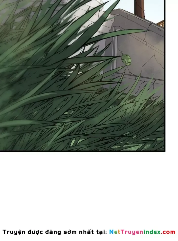 Thảm Họa Tử Linh Sư - Chap 269 - Trang 6