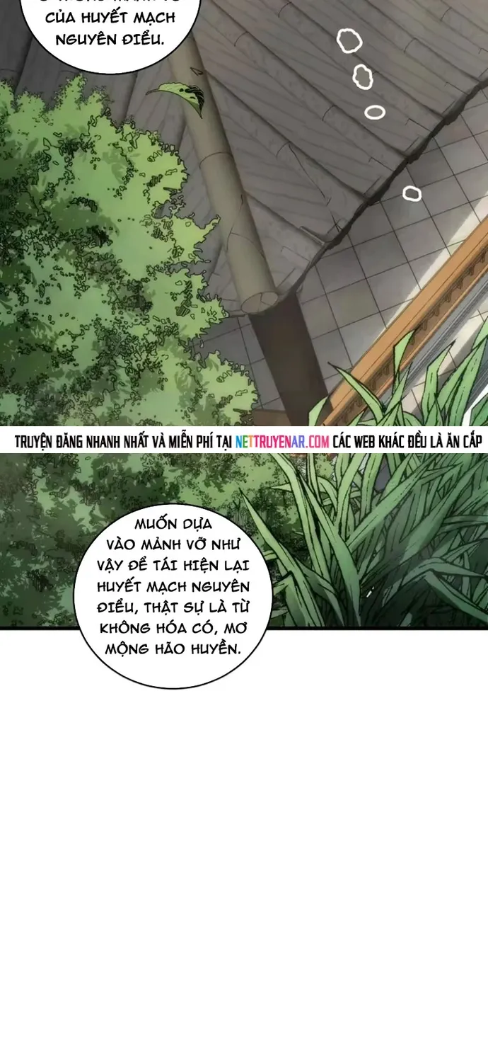 Thảm Họa Tử Linh Sư - Chap 272 - Trang 41
