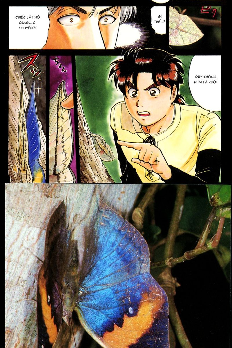 Trang 7