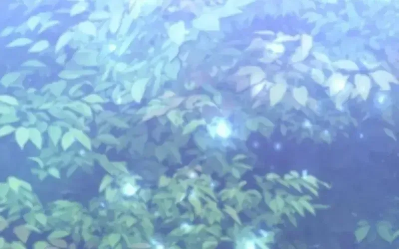 Thần Thịnh Vượng - Chap 11 - Trang 402