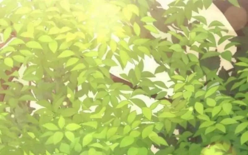 Thần Thịnh Vượng - Chap 12 - Trang 3