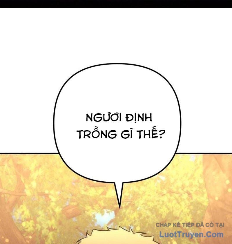 Thần Thịnh Vượng - Chap 20 - Trang 2