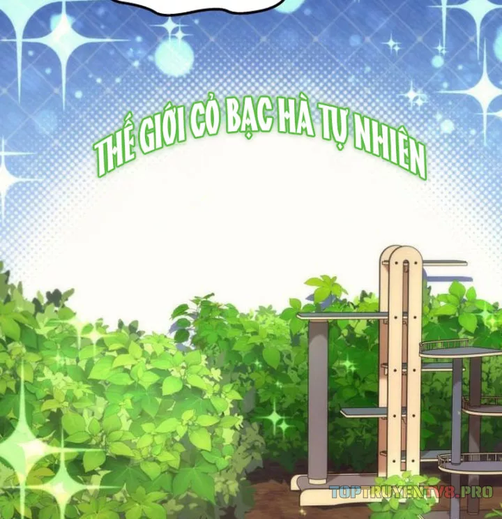Thần Thịnh Vượng - Chap 26 - Trang 3