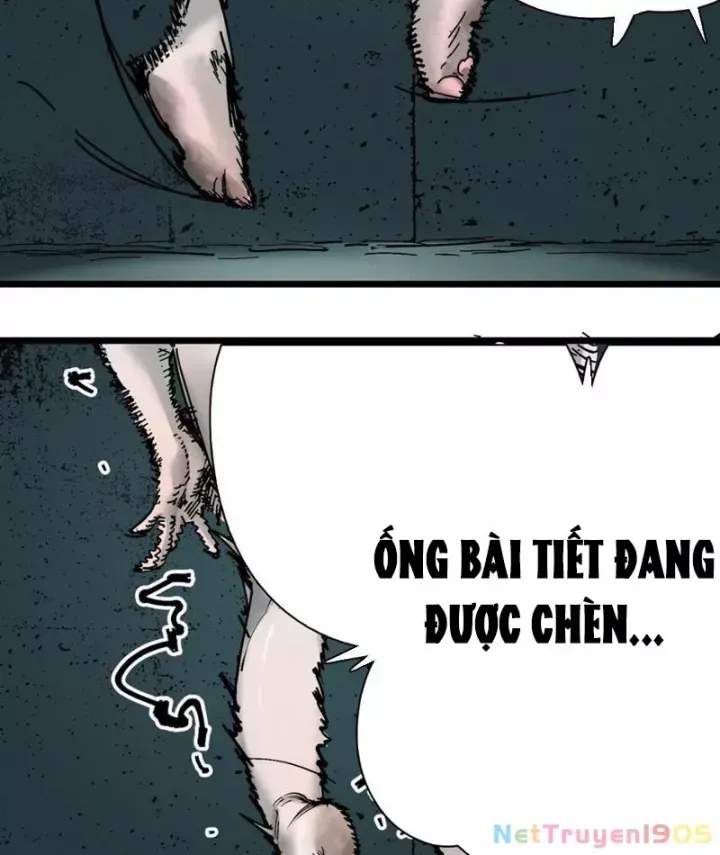 Chương 1 - Trang 20