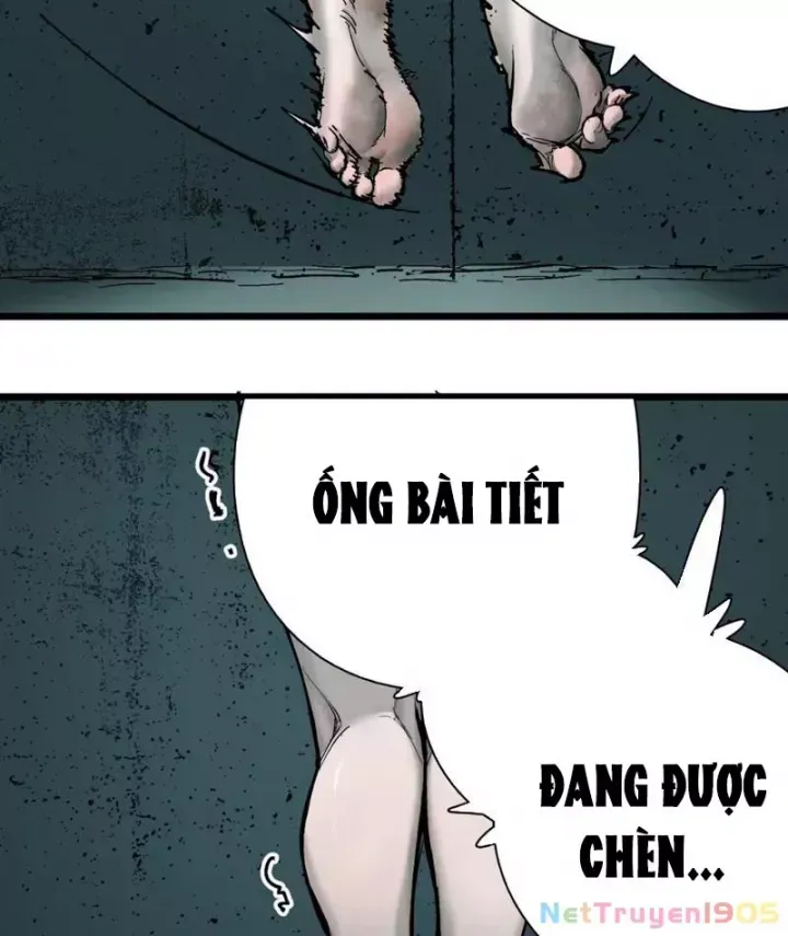 Chương 1 - Trang 21