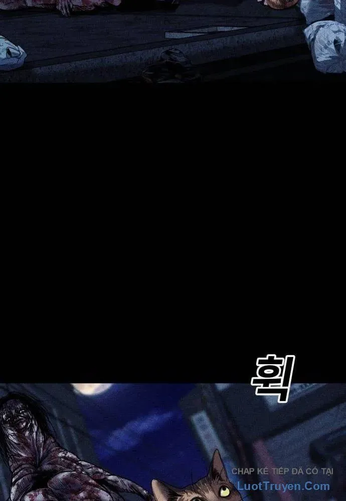 Chương 18 - Trang 13