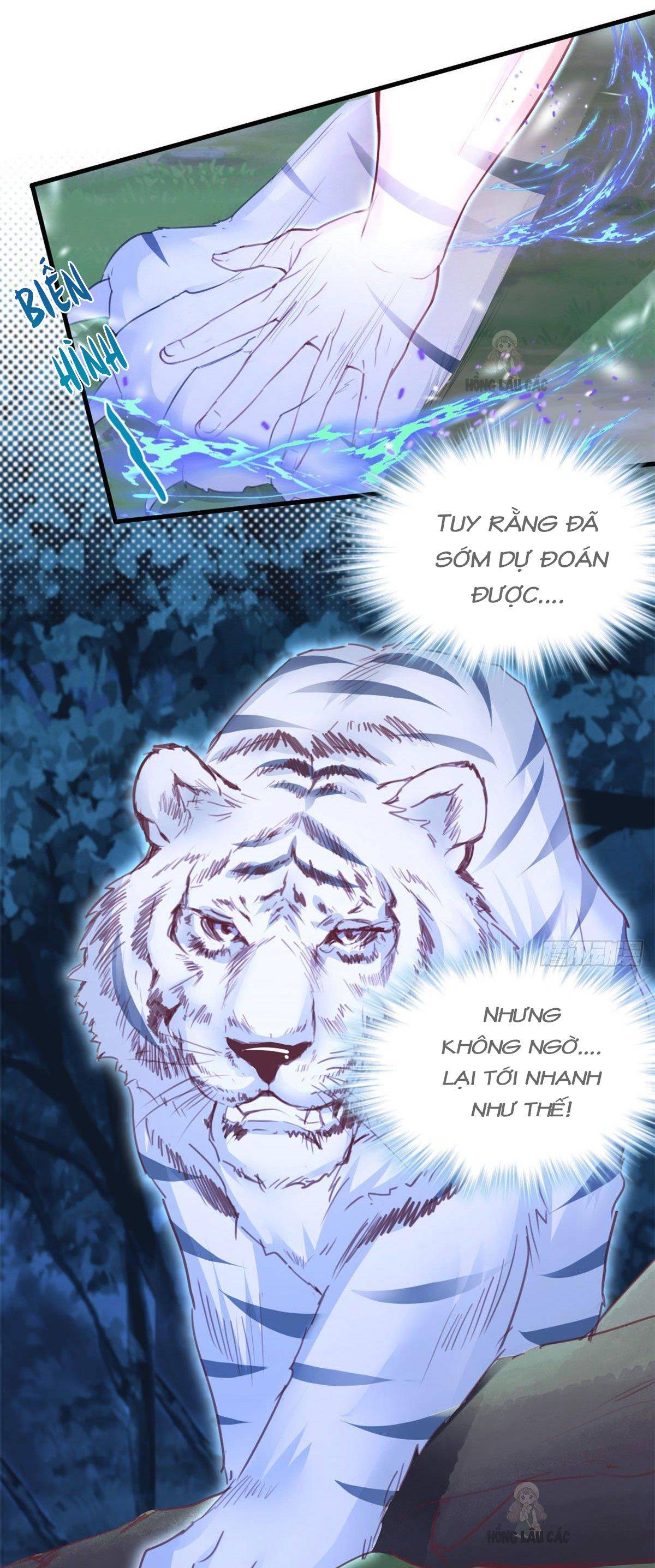 Trang 24