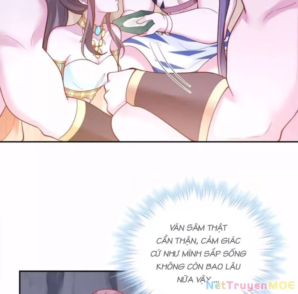 Chương 659 - Trang 5