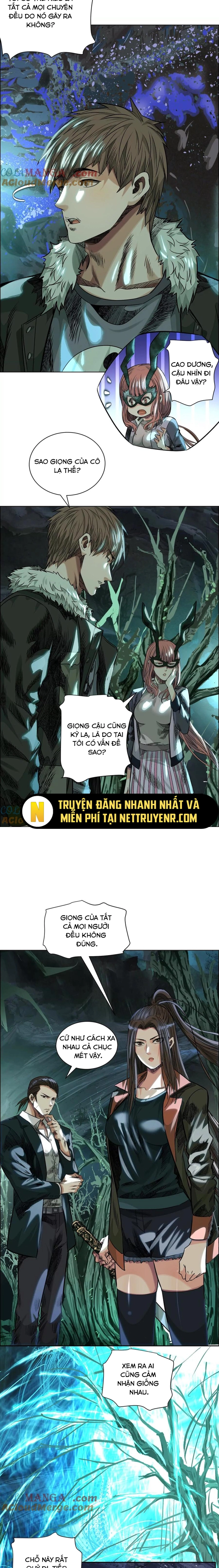Trang 5