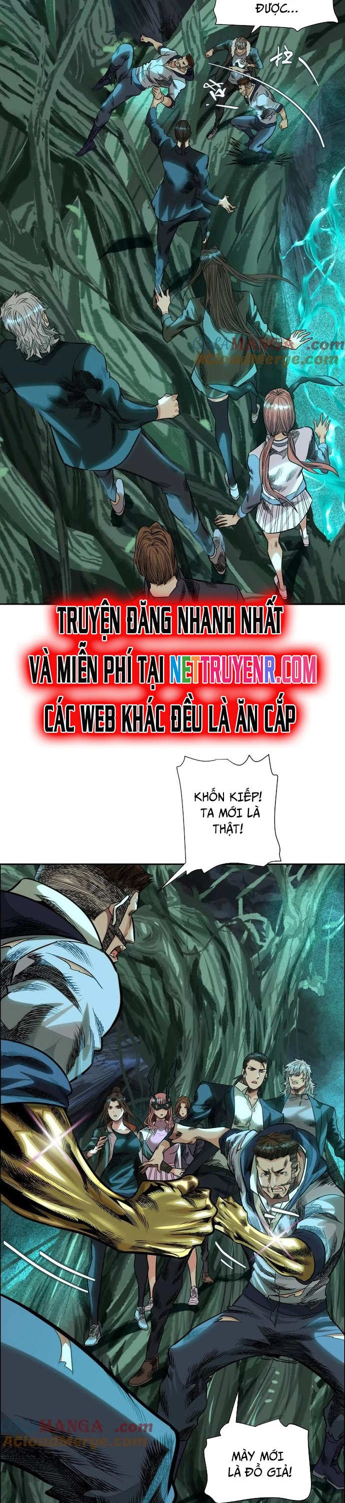 Trang 5
