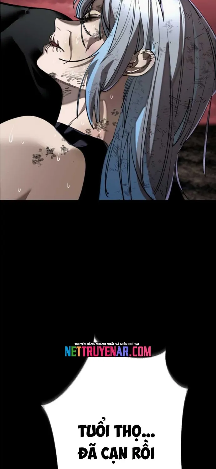 Chapter 119 - Trang 95
