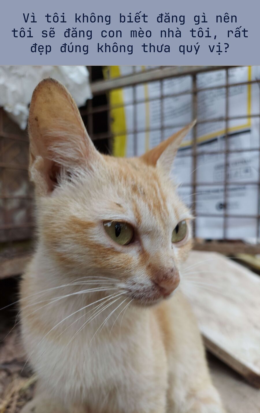 Chương 24.3 - Trang 2