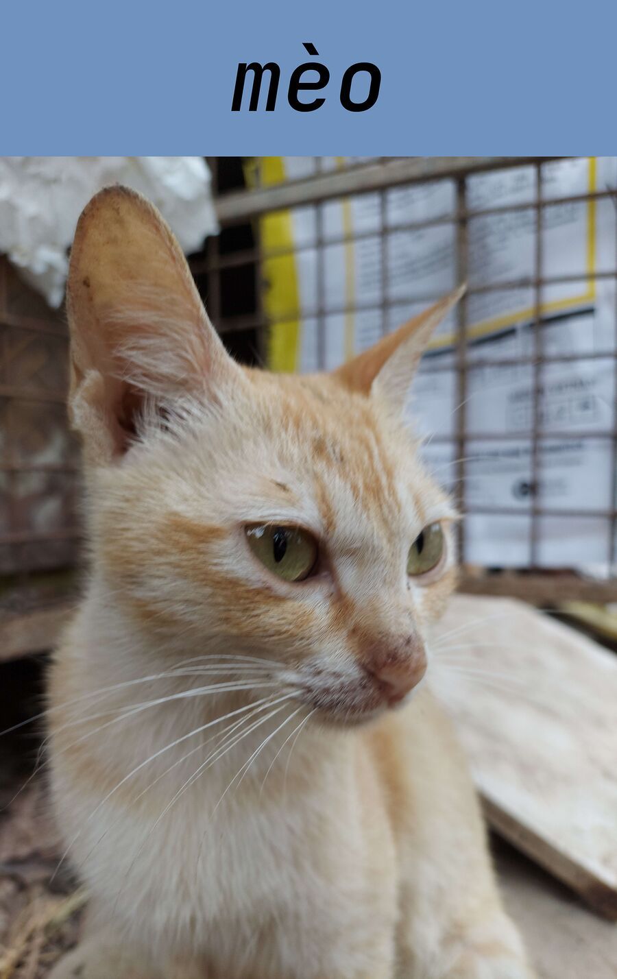 Chương 24.4 - Trang 17