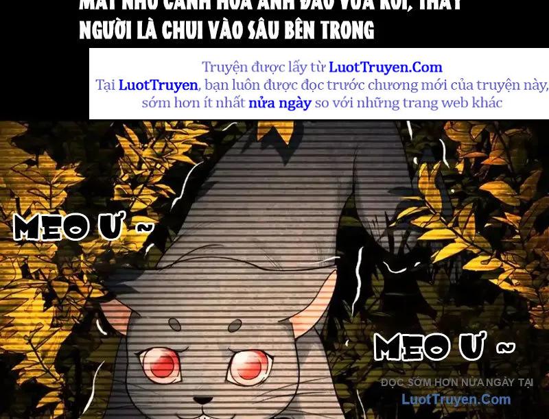 Chương 19 - Trang 19