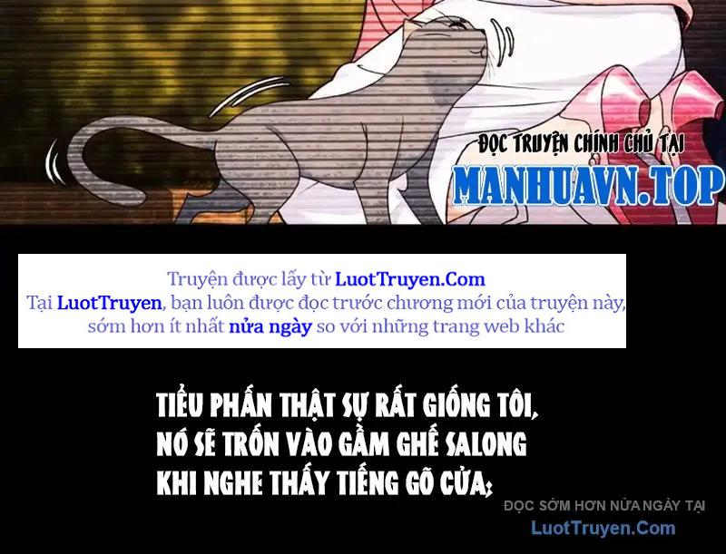 Chương 19 - Trang 22