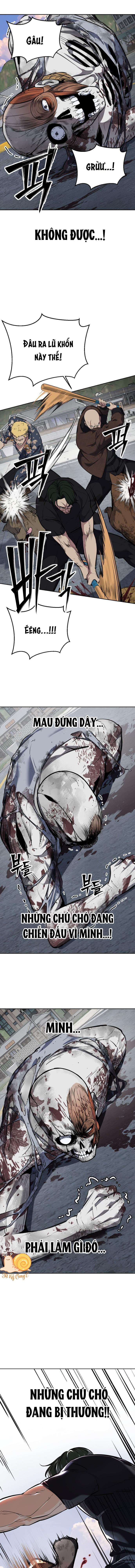Chapter 2 - Trang 17
