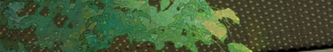 Chương 53 - Trang 31