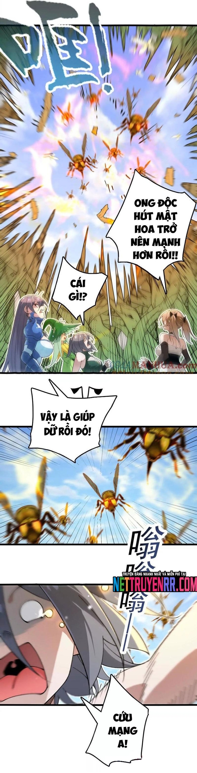 Trang 13