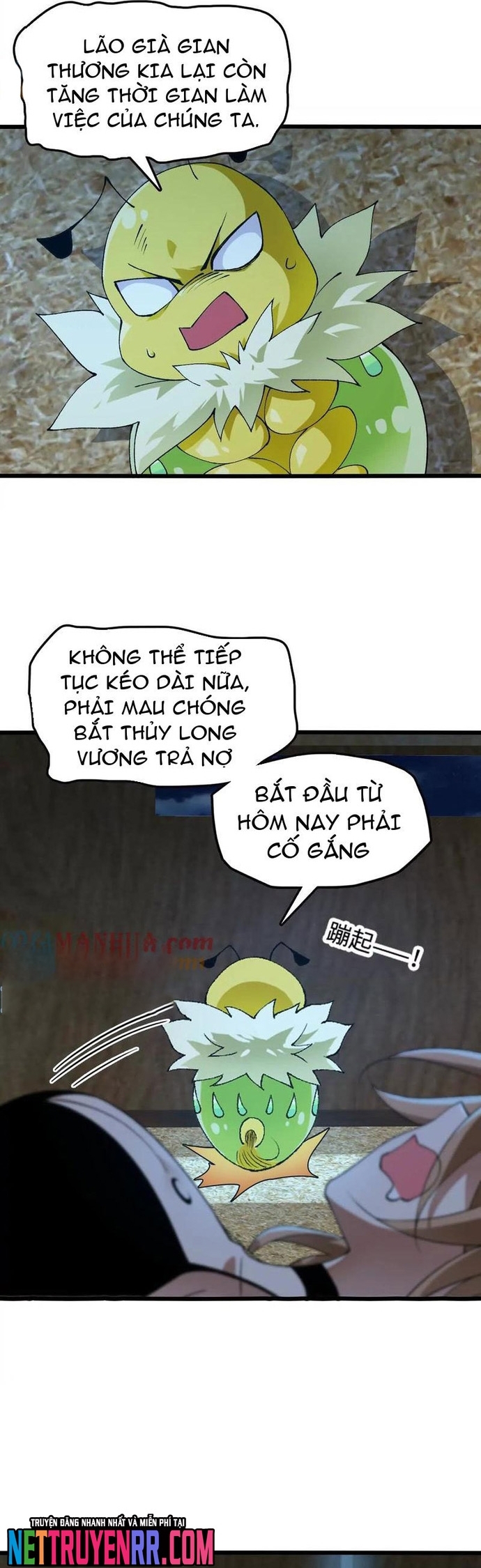 Trang 14