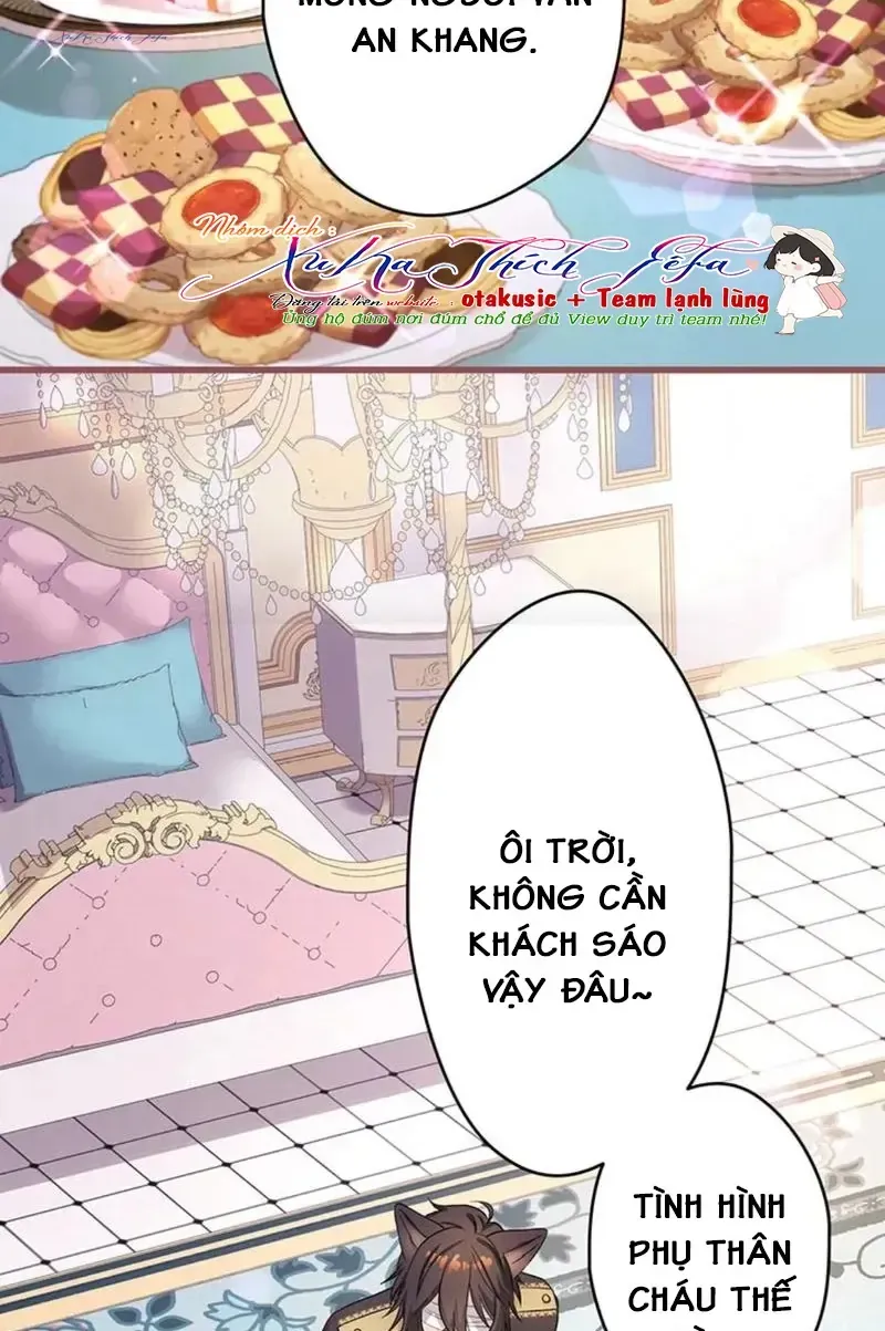 Chương 49 - Trang 47